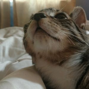 Meet your Posher, Zack